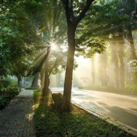 Lô Đất Full Sổ Đầu Tư Hót Nhất Thị Trường Quy Nhơn