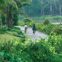 Lô Đất Full Sổ Đầu Tư Hót Nhất Thị Trường Quy Nhơn