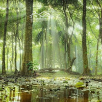 Lô Đất Full Sổ Đầu Tư Hót Nhất Thị Trường Quy Nhơn