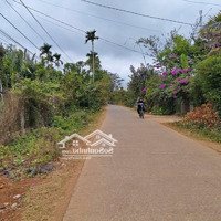 Cơ Hội Sở Hữu Đất Full Thổ Cư Hòa Đông Giá Tốt Nhất Khu Vực!