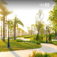 Bán Cặp Nhà Phố Ánh Dương 80M2 Phân Khu Cát Tường Dự Án Vinhomes Cổ Loa