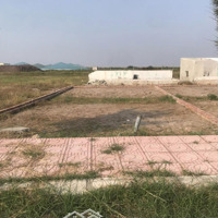 Bán Gấp Mảnh Này Ở Dưới Khu Du Lịch Biển Quất Lâm. Diện Tích 81M2, Mặt Tiền 5M. Giá Bán 1Ty2Xx