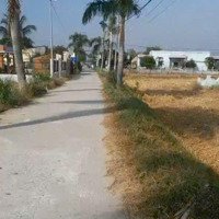 Đất Cần Đước Mặt Tiền Đường 6450M Đất Lúa