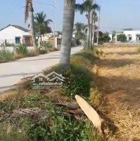 Đất Cần Đước Mặt Tiền Đường 6450M Đất Lúa