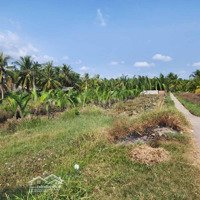 Mặt Tiền Đường Ql 60, Khu Dân Cư Đông Đúc.