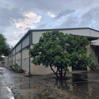 Đất Có Nhà Xưởng, Trạm Điện Riêng 3 Pha, Hạ Tầng Hoàn Chỉnh, Chính Chủ
