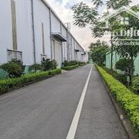 Cho Thuê Kho Xưởng gần nhà máy Kangaroo - Tân Quang - Hưng Yên