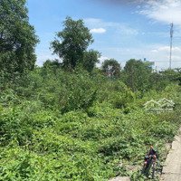Bán Mặt Tiền Liên Ấp 4-5 Đối Diện Ba Đờn Farm