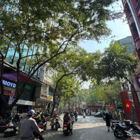 Bán Gấp Mặt Phố Nguyên Hồng, Đống Đa, 100M2 X 9T Xmặt Tiền9M, 1 Mặt Phố 1 Mặt Ngõ, Kinh Doanh Đỉnh Cao