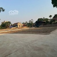 Em Cần Bán Lô Đất 74M2 Đường 6,5M Giá Bán 488 Triệu Tại Mỹ Đức, An Lão, 5 Phút Xe Máy Đến Đại Học Hải Phòng