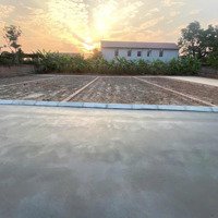 Em Cần Bán Lô Đất 74M2 Đường 6,5M Giá Bán 488 Triệu Tại Mỹ Đức, An Lão, 5 Phút Xe Máy Đến Đại Học Hải Phòng