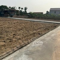 Em Cần Bán Lô Đất 74M2 Đường 6,5M Giá Bán 488 Triệu Tại Mỹ Đức, An Lão, 5 Phút Xe Máy Đến Đại Học Hải Phòng