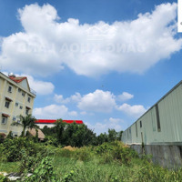 Đất Mặt Tiền Đường Bưng Ông Thoàndiện Tích1000M2 Giá Đầu Tư Chỉ Có 35 Triệu/M2 P.tăng Nhơn Phú B Thủ Đức