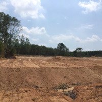 Bán Đất Giá Siêu Ưu Đãi Vớidiện Tích2 Sào, 21X95M, Hẻm Cù Chính Lan, Đường 4.5M, 600 Triệu, Tân Bình, Lagi
