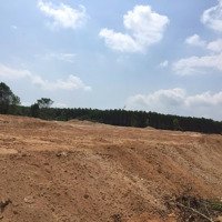 Bán Đất Giá Siêu Ưu Đãi Vớidiện Tích2 Sào, 21X95M, Hẻm Cù Chính Lan, Đường 4.5M, 600 Triệu, Tân Bình, Lagi