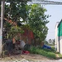 Bán Đất Tại Đức Hoà Đông, Giá Siêu Hời 1,85 Tỷ, Diện Tích 221 M2