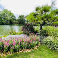 Bán Bt Hp3 Vinhomes Riverside Diện Tích Đất 330 M2 Nhà Hoàn Thiện 2022 Full Nội Thất Mới Trên 95%