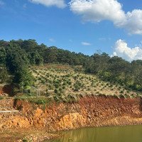 Bán Đất Xã Quảng Trực, Tuy Đức, Đắk Nông, Giá Bán 6,5 Tỷ, Diện Tích 70.000 M2, View Đẹp