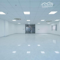 Cho Thuê Tòa Nhà Cách Mạng Tháng 8, P.12, Quận 10, 11X20M, Hầm Trệt 5 Lầu