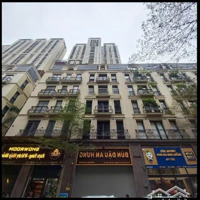 Cực Hiếm Tòa Shophouse 7 Tầng Đang Kinh Doanh Án Ngự Mặt Tiền Kđt Terra An Hưng Hà Đông