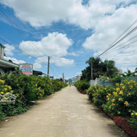 Bán 1300M2 Đất Quy Hoạch Full Thổ Cư Ngay Trung Tâm Xã Liên Hiệp, Cách Chợ 400M Giá Bán 2.7 Tỷ