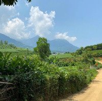 Bán Đất 438M2 Tại Đường 415, Xã Minh Quang, Ba Vì, Hà Nội Chỉ Với Giá Ưu Đãi 1,2 Tỷ