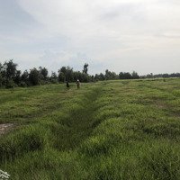 Bán Đất Tại Đt 838, Xã Mỹ Thạnh Tây, Đức Huệ, Long An, 1 Tỷ, 2700M2