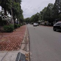 Bán Đất 350M2, 9 Tỷ Tại Nguyễn Đức Thuận, Hiệp Thành, Thủ Dầu Một, Bình Dương