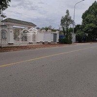 Bán Đất 350M2, 9 Tỷ Tại Nguyễn Đức Thuận, Hiệp Thành, Thủ Dầu Một, Bình Dương