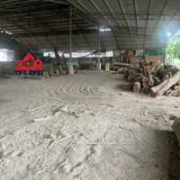 Xt136 Cho Thuê Xưởng Cưa Thuộc Hố Nai 3, Trảng Bom, Đồng Nai. Diện Tích: 1000M2