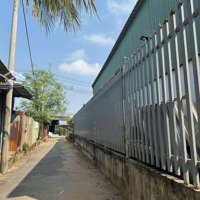 Bán Đất Tại Nguyễn Duy Trinh, Long Trường, Thủ Đức, Hồ Chí Minh, Giá Tốt 3,2 Tỷ, 56M2