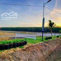 Bán Đất Khu Du Lịch Sinh Thái Bờ Hồ Sông Bé Diện Tích 10M Sâu 100M Giá Niêm Yết