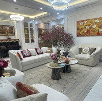 Bán Bt Nhà Vườn Khu Nguyệt Quế Vinhomes The Harmony Full Nội Thất Mới