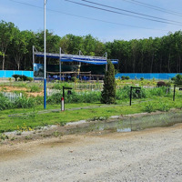 Bán Đất Có Thổ Cư Tại Hớn Quản, Bình Phước, 250 Triệu, 310.5 M2, Chính Chủ Đẹp, Nhiều Tiện Ích