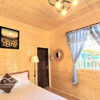 Sở Hữu Ngay "Ốc Đảo Bình Yên" Sát Biển Đầu Tư Sinh Lời Cao Tại Ninh Thuận