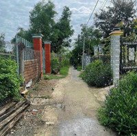 Bán Đất Đường Nguyễn Văn Thời Xã Qui Đức Bình Chánh, Thích Hợp Làm Nhà Vườn