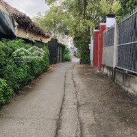 Bán Đất Đường Nguyễn Văn Thời Xã Qui Đức Bình Chánh, Thích Hợp Làm Nhà Vườn