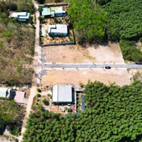Đất Thật Giá Thật - Cắt Lỗ Lô 100M2 Giá Chỉ Hơn 900 Triệu Ngay Kdc Bình Phước Gần Sân Bay Qt Long Thành