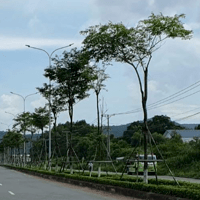 Bán đất mặt tiền đường tránh Dương Đông xã Dương Tơ, Phú Quốc