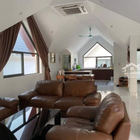 Hiếm! Thang Máy, Hầm Xe Phố Đỗ Quang, Dòng Tiền Tốt, Sầm Uất, Trung Hòa Nhân Chính, Quận Cầu Giấy