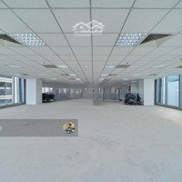 Quá Rẻ! Bán Tòa Nhà Trường Sơn, Tân Bình - Dt:8X22M - Hầm 7 Tầng - Hđt: 150 Tr/Th - Giá Bán 37 Tỷ Tl