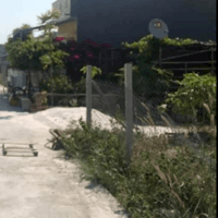 Cần tiền bán nhanh lô đất đường bê tông xã Dương Tơ Phú Quốc