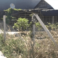 Cần tiền bán nhanh lô đất đường bê tông xã Dương Tơ Phú Quốc