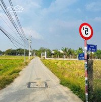 Bán Đất Tại Nhà Đồ, Phước Lý, Cần Giuộc, Long An, 750 Triệu, 120M2 Hàng Hot