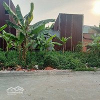 Bán Đất Tại C5, Vĩnh Lộc A, Bình Chánh, 3,2 Tỷ, 96 M2