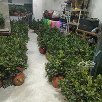 Cho Thuê Nguyên Căn Mặt Ngõ 29 Phố Trạm, 12 Triệu/Th