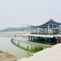 Em Tân Có Lô Liền Kề Xẻ Khe, Ngay Công Viên Lễ Hội, Ck 200 Triệu So Với Giá Gốc, Kinh Doanh Sầm Uất