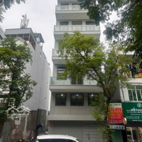 Building 7 Tầng Mặt Tiền Ngay Cmt8 Q3 - Hđt 90 Triệu - 38.5 Tỷ - Bề Ngang Gần 6M