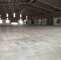 Cho Thuê Xưởng 1980M2. Pccc Cập Tường. Giá Thuê 120 Triệu/Tháng Tại Thuận An, Bình Dương