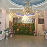 Cho Thuê Tòa Nhà 400M2, 5 Tầng Thành Phố Cẩm Phả, Hạ Long, Quảng Ninh